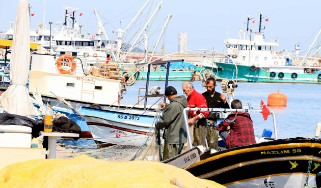 Samsunlu balıkçıların denizanası isyanı!