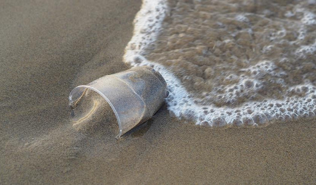 Atık plastikler denizdeki yaşamı tehdit ediyor!