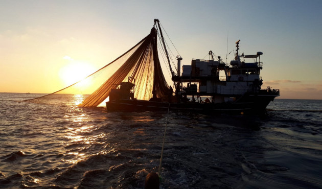 Tekirdağlı balıkçılar Karadeniz'de palamutla güldü