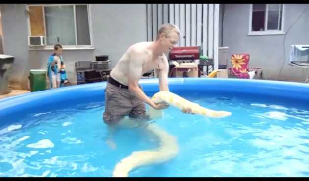 5 metrelik albino pitonla yüzdü!