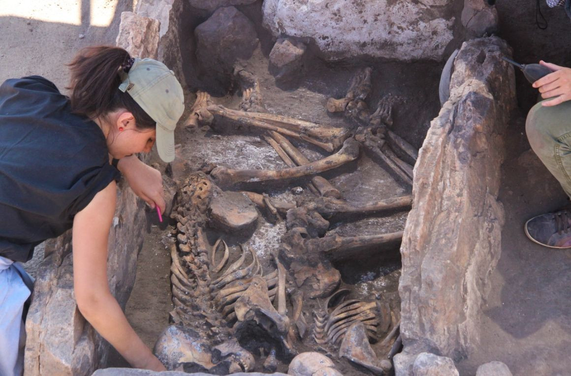 Eskişehir'de 5 bin yıllık insan iskeletleri bulundu! - Sayfa 4