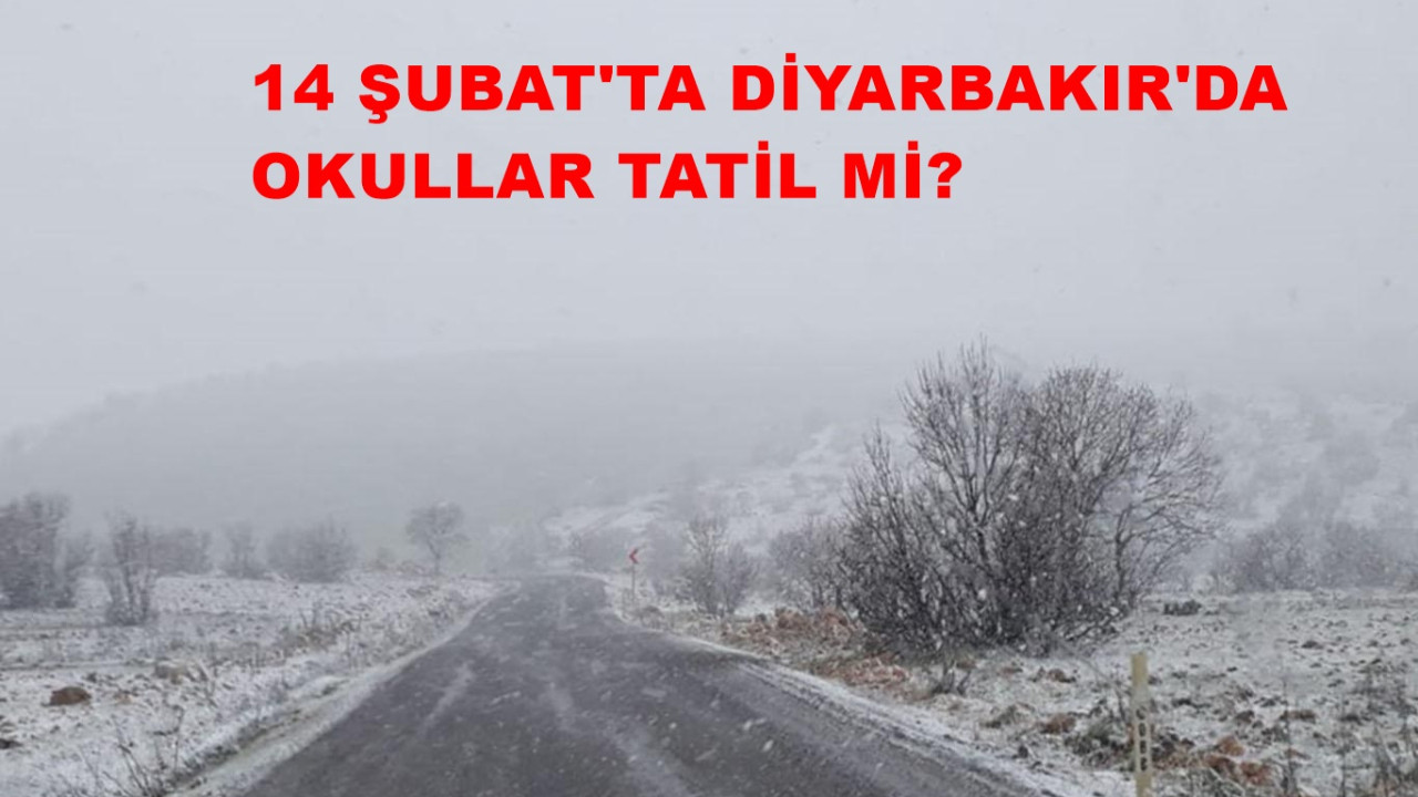 Diyarbakır'da yarın okullar tatil mi? 14 Şubat Diyarbakır'da kar tatili var mı?