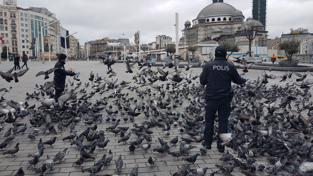 Polis, aç kalan güvercinleri eliyle besledi