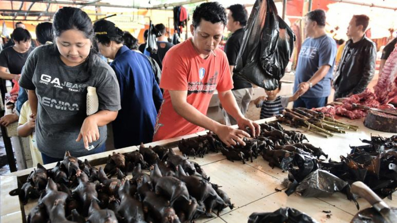 Çin'de vahşi hayvan pazarları yeniden açıldı mı?