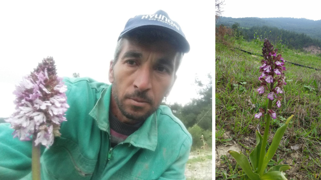Koparmanın cezası 72 bin lira olan bitkiyle selfie