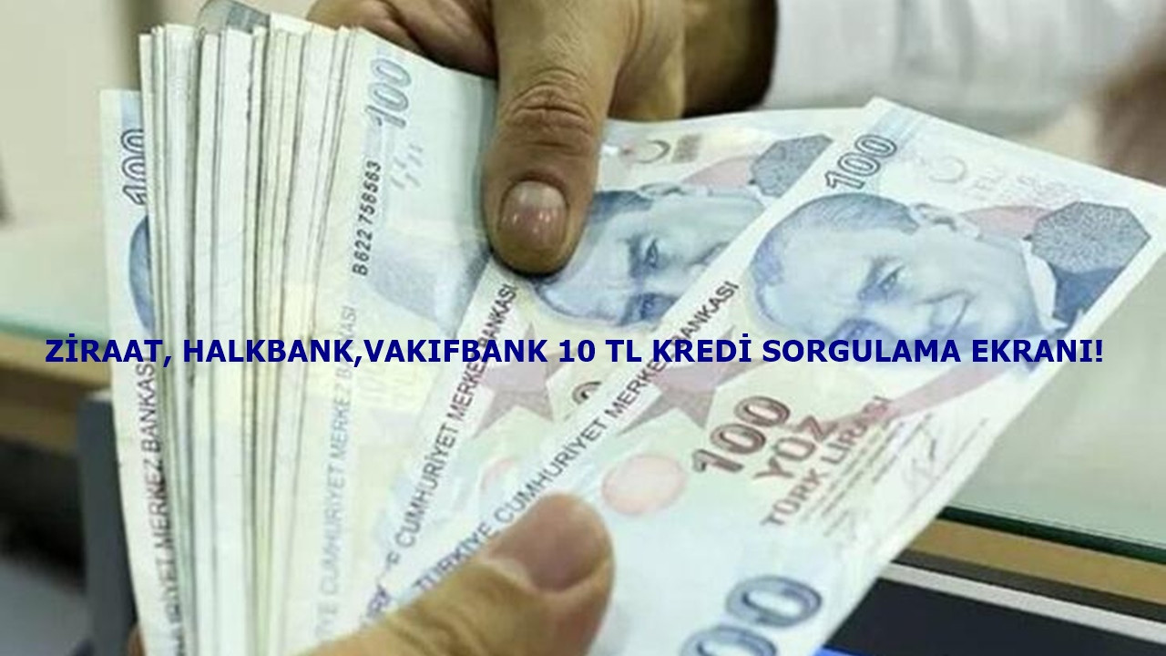 Ziraat, Vakıfbank, Halkbank 10 bin TL kredi sorgulama ekranı! Kredi başvurusu nasıl yapılır? Sonuçlar nasıl öğrenilir?