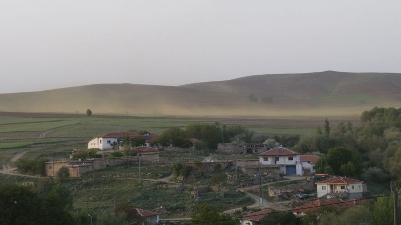 Son dakika... Yozgat'ta bir köy sinek istilasına uğradı - Sayfa 1
