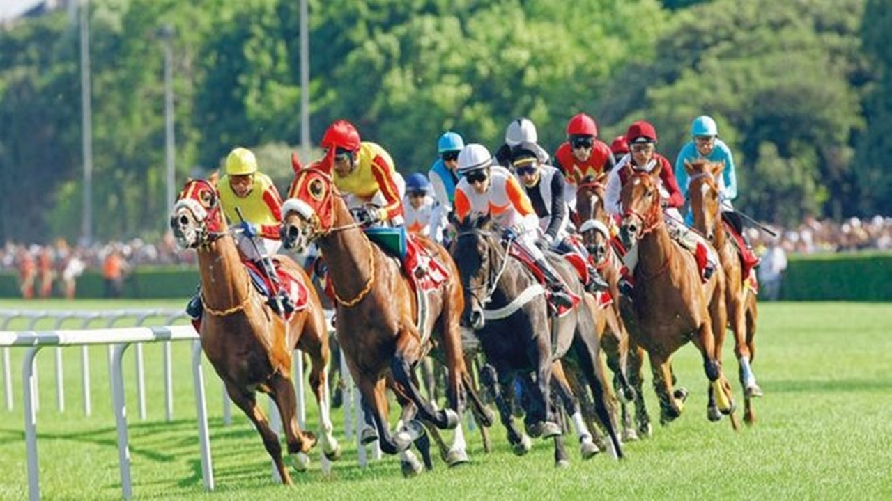 12 Temmuz İstanbul At yarışı sonuçları! Altılı ganyan ikramiye ne kadar verdi?