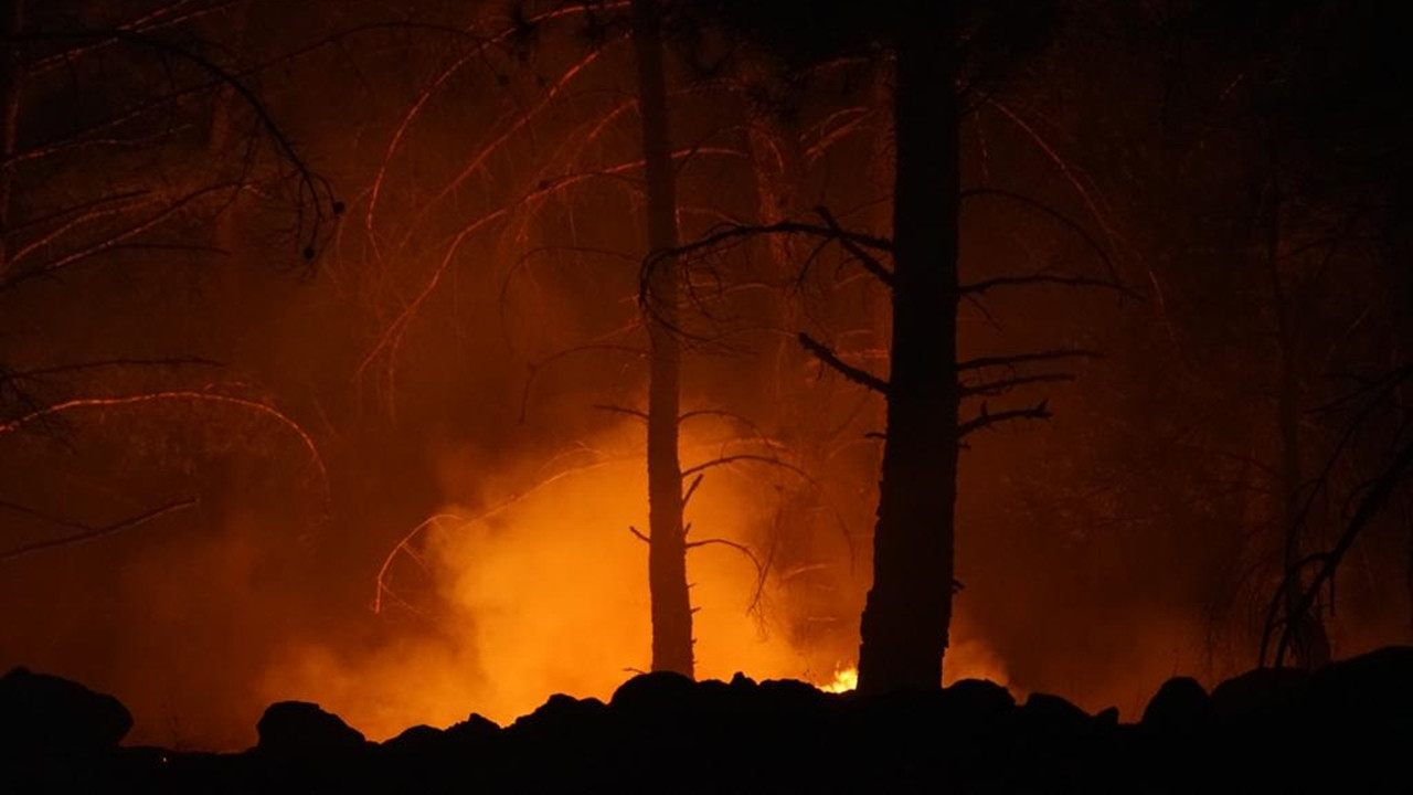 Kaz Dağları'nda orman yangını