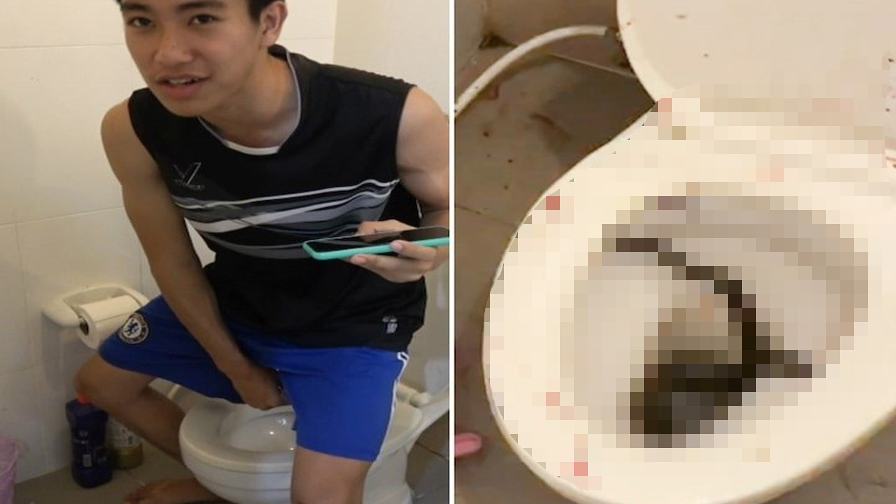 Tuvalete giren gencin cinsel organını yılan soktu!