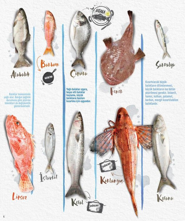 CarrefourSA 7 - 15 Ekim 2020 balık ürünleri indirimli katalog kampanyaları - Sayfa 2