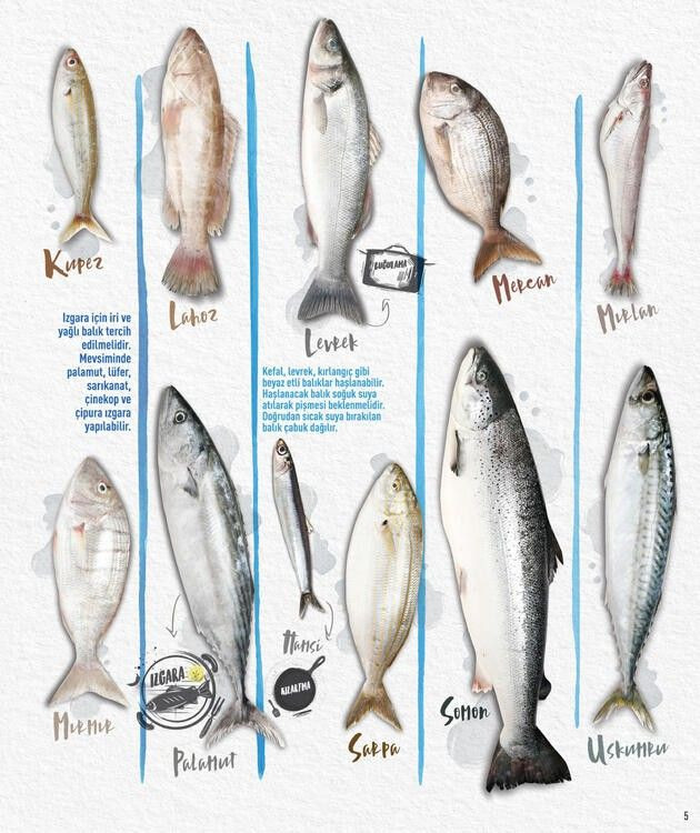 CarrefourSA 7 - 15 Ekim 2020 balık ürünleri indirimli katalog kampanyaları - Sayfa 3
