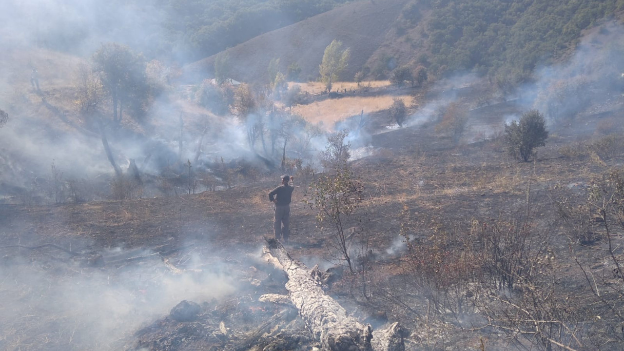Orman yangınları bu kez Tunceli'de