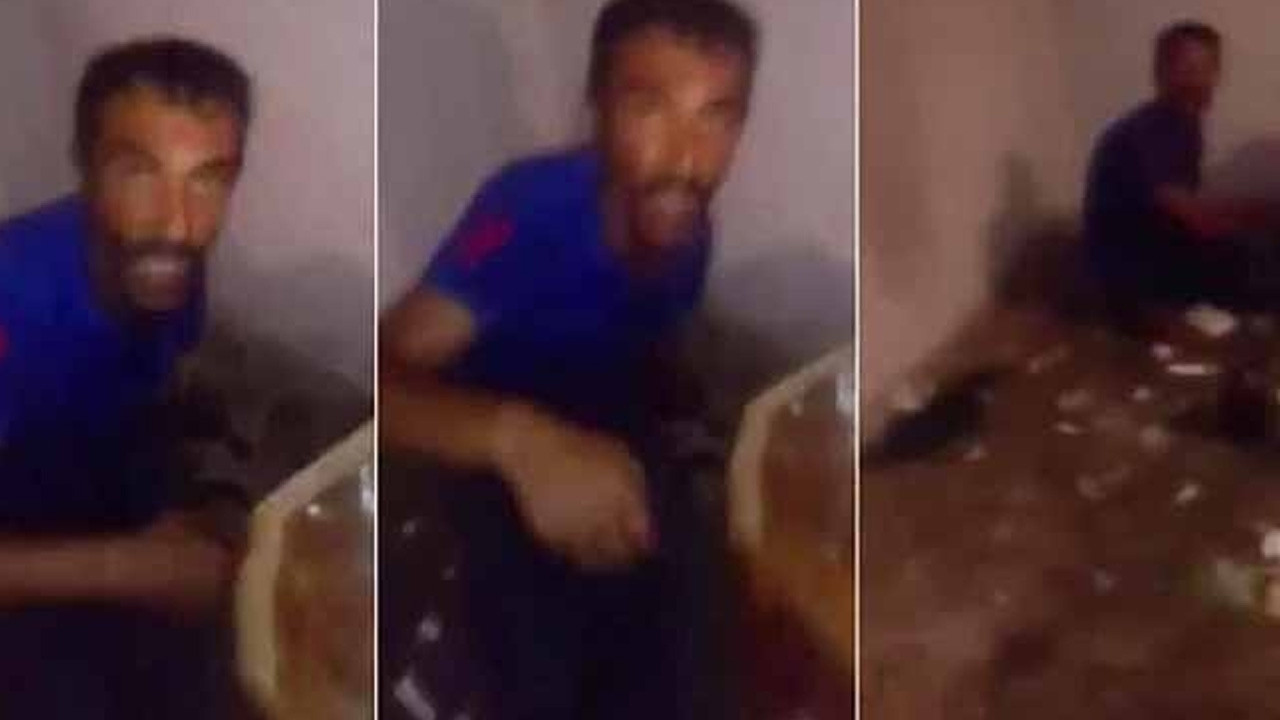 Adana'da metruk binada kedileri işkenceyle öldürdü!