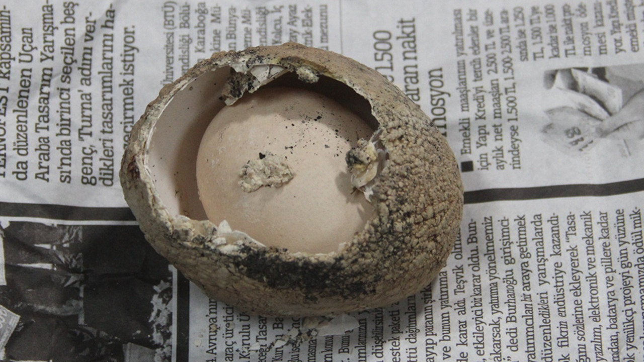 Yumurtanın içinde yumurta görenleri hayrete düşürdü