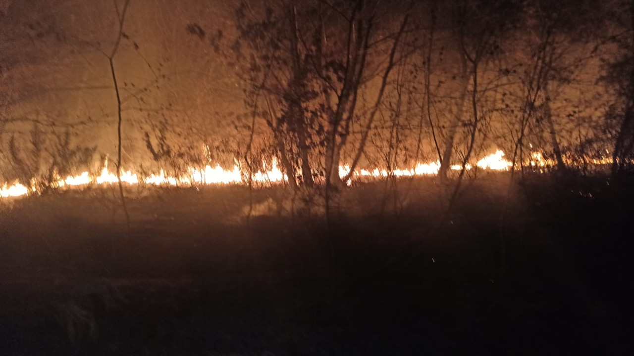 FETÖ'nün kilit ismi Adil Öksüz soruşturmasında kazı yapılan alanda yangın