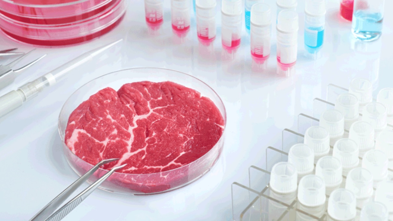 Laboratuvarda kas ve yağ hücresinden et üretildi