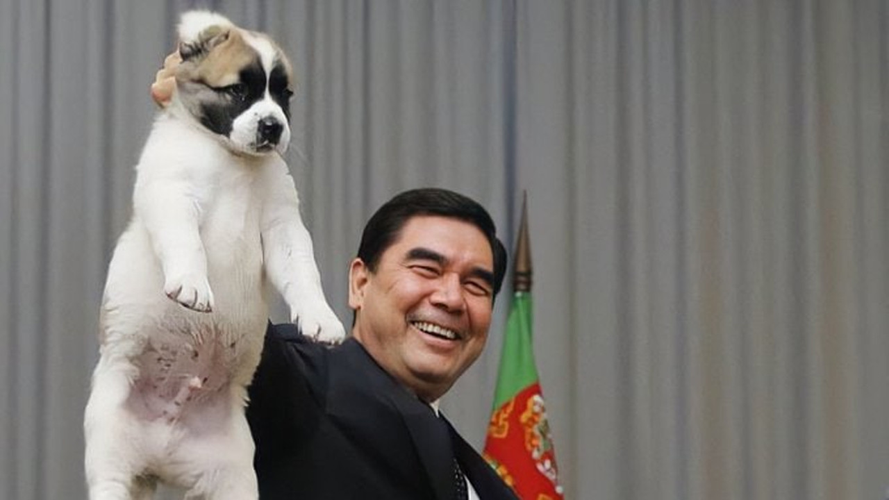 Türkmenistan'da köpekler için 1 gün ulusal tatil ilan edildi