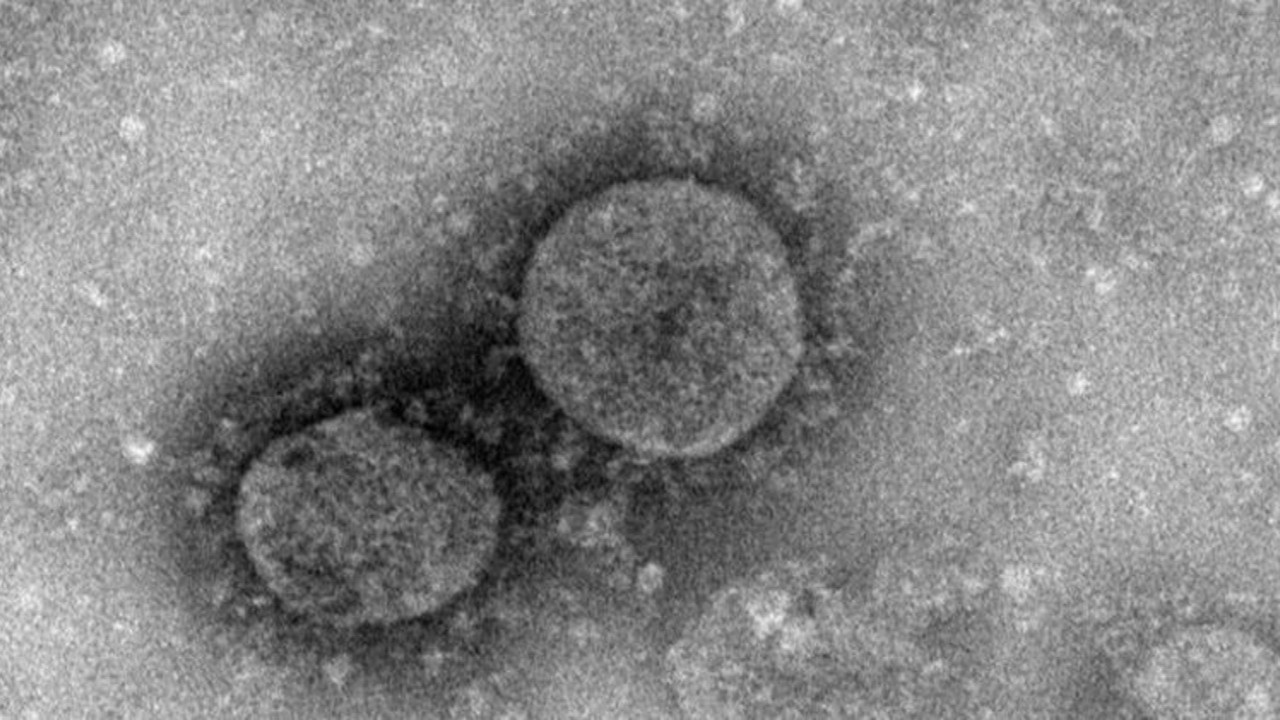 Şimdi de çifte mutasyon geçirmiş virüs ortaya çıktı