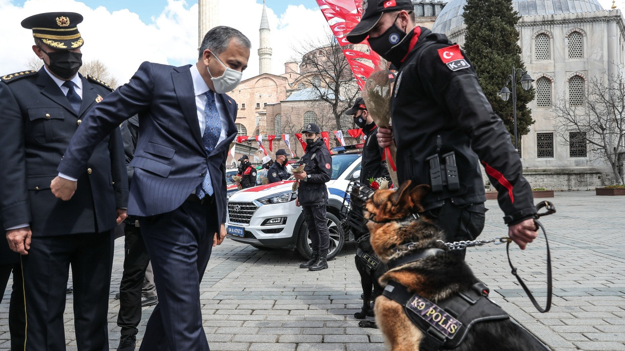 Polis köpeği Vali Ali Yerlikaya'ya saldırdı