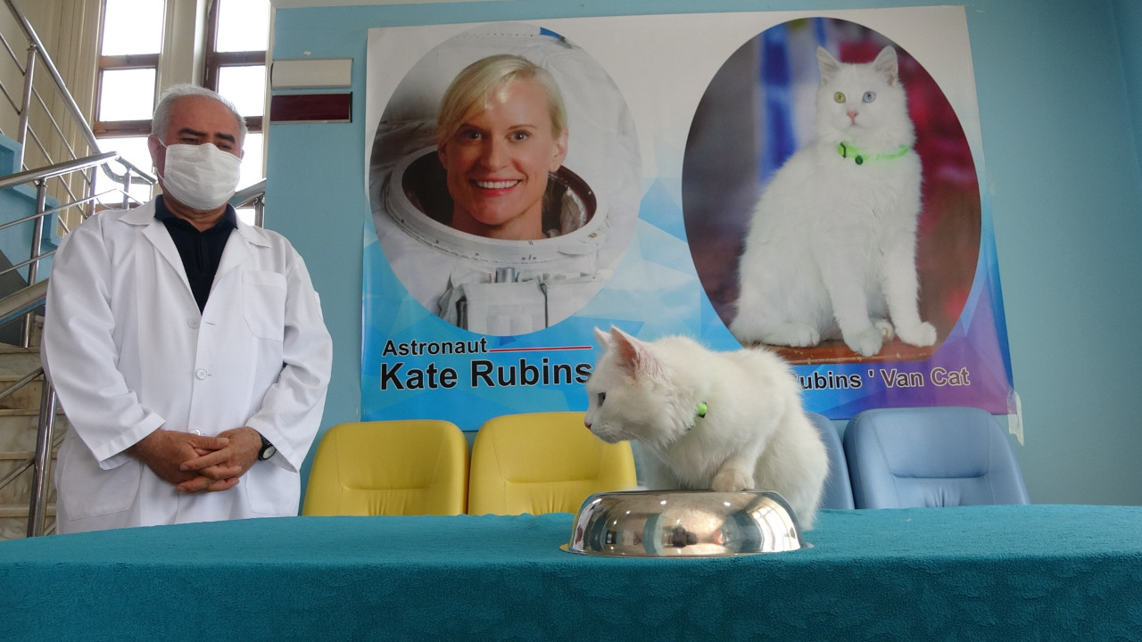 Van gölü fotoğrafıyla birinci olan astronota Van kedisi hediye edilecek