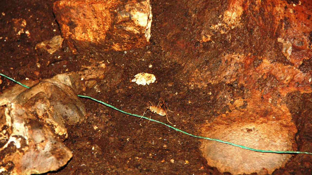 Diyarbakır'da yol açma çalışmaları sırasında keşfedilen mağarada heyecanlandıran görüntü