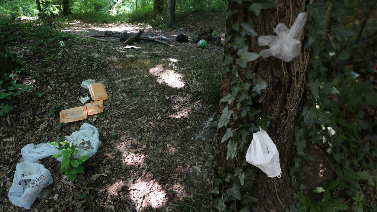 Piknikçiler gittikleri ormanı çöplüğü çevirip evlerine döndüler