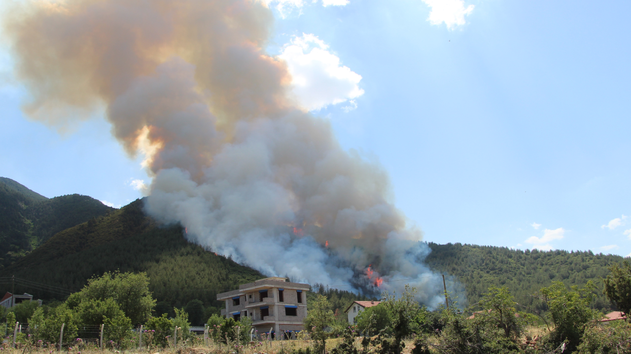 Bakan Pakdemirli duyurdu: Denizli’deki orman yangını kontrol altında