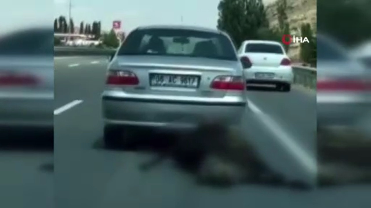 Ölü ineğin otomobilin arkasında sürüklendiği anlar kamerada!