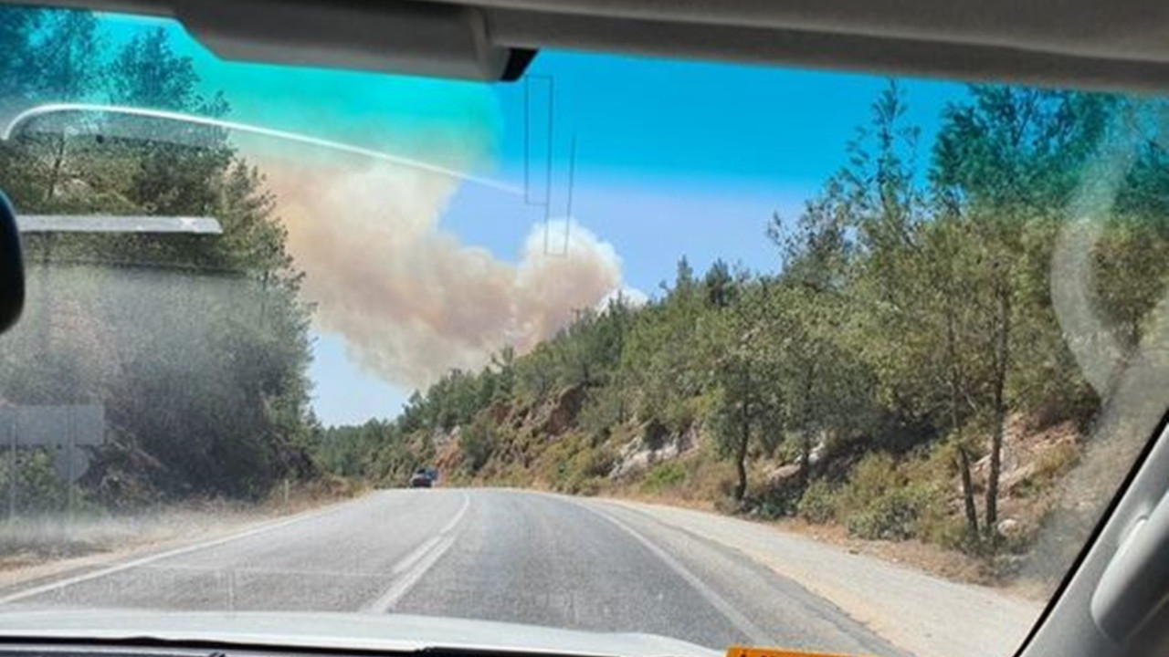 Orman yangınları Bodrum ve Didim'e sıçradı Otellerin bahçesine kadar dayandı