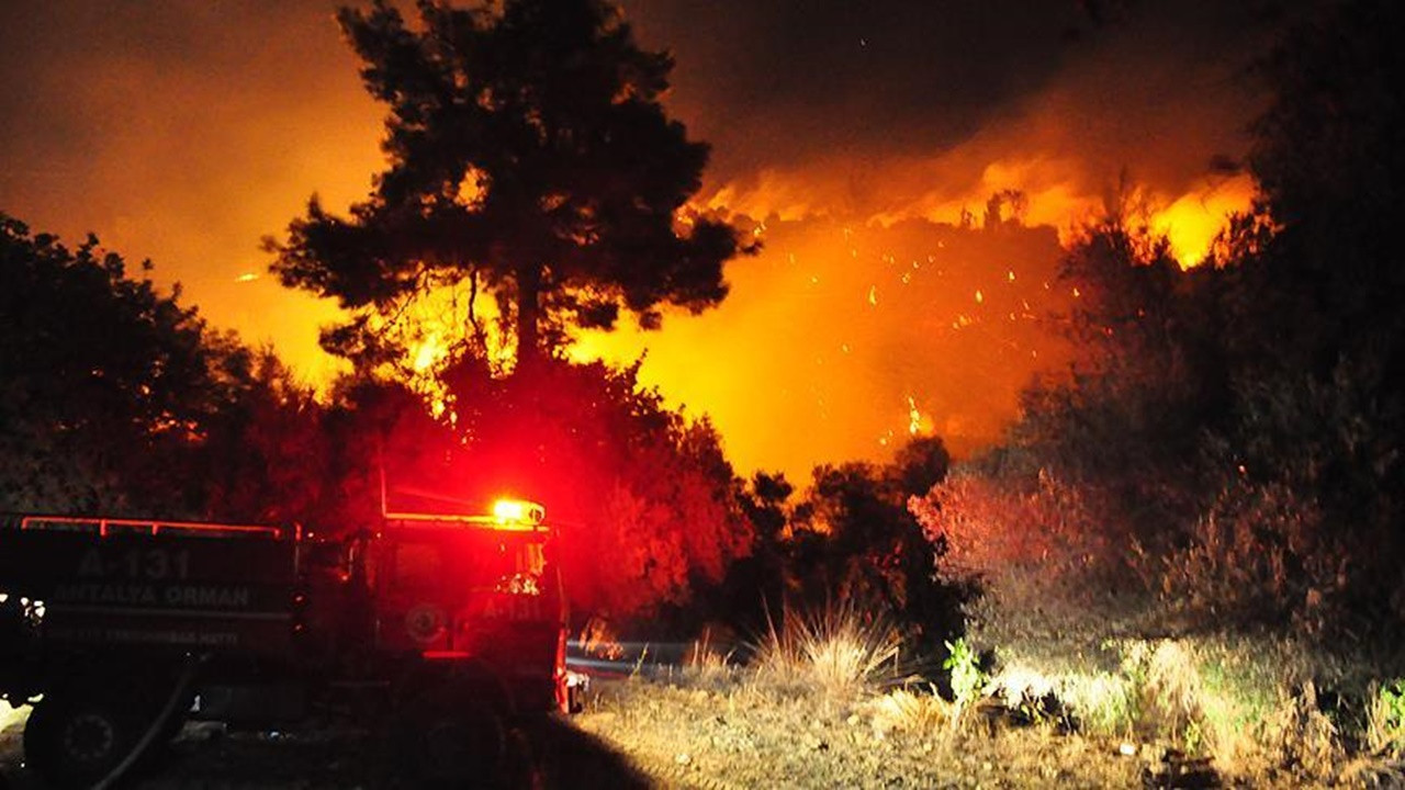 Dünya alev alev yanıyor! Orman yangınlarının sebebi küresel ısınma mı?