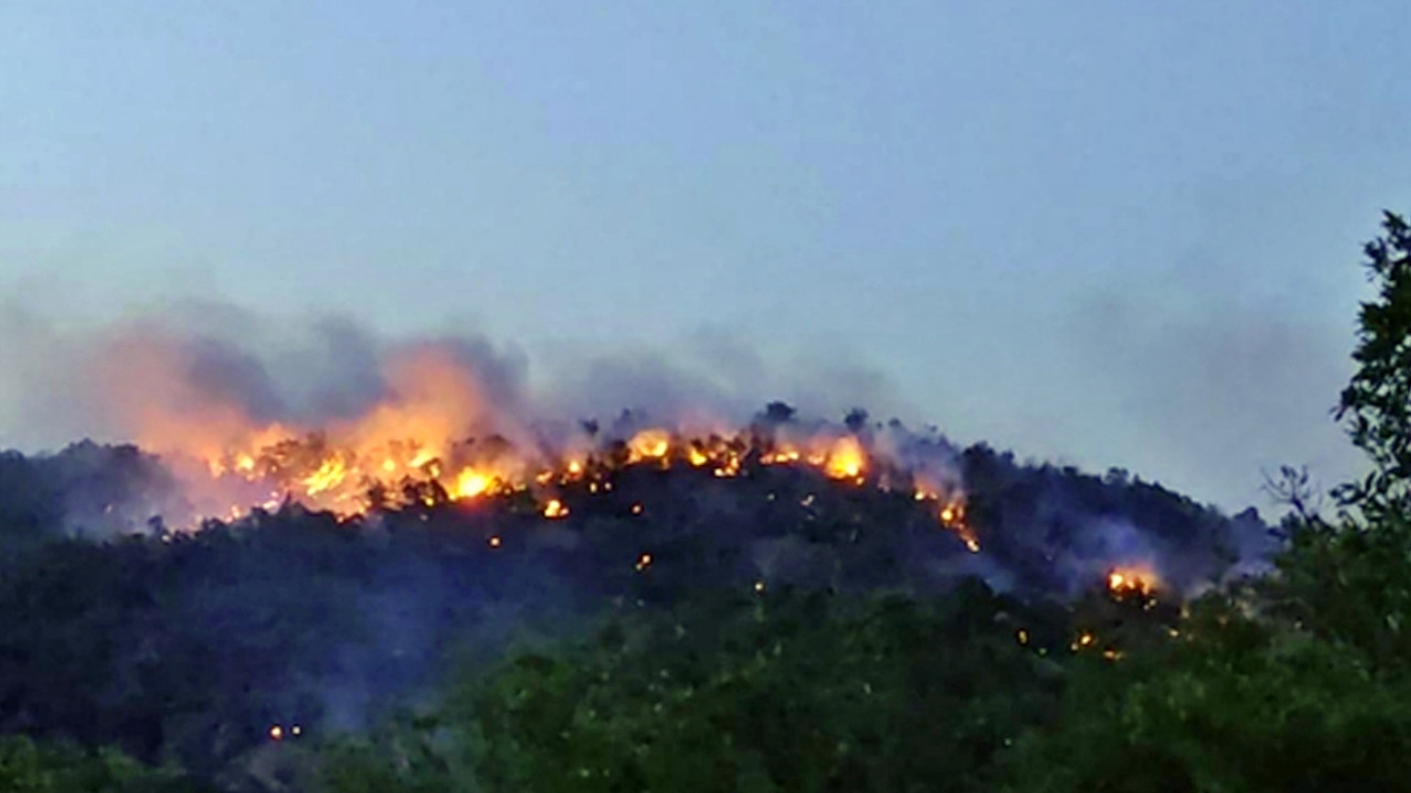 Bakan Pakdemirli'den müjde: Bingöl Kiğı yangını kontrol altına alındı!