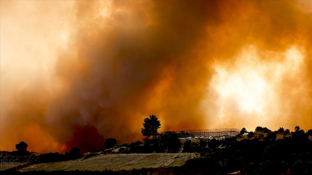 AK Parti İstanbul, yanan ormanlar için 200 bin fidan bağışı yaptı