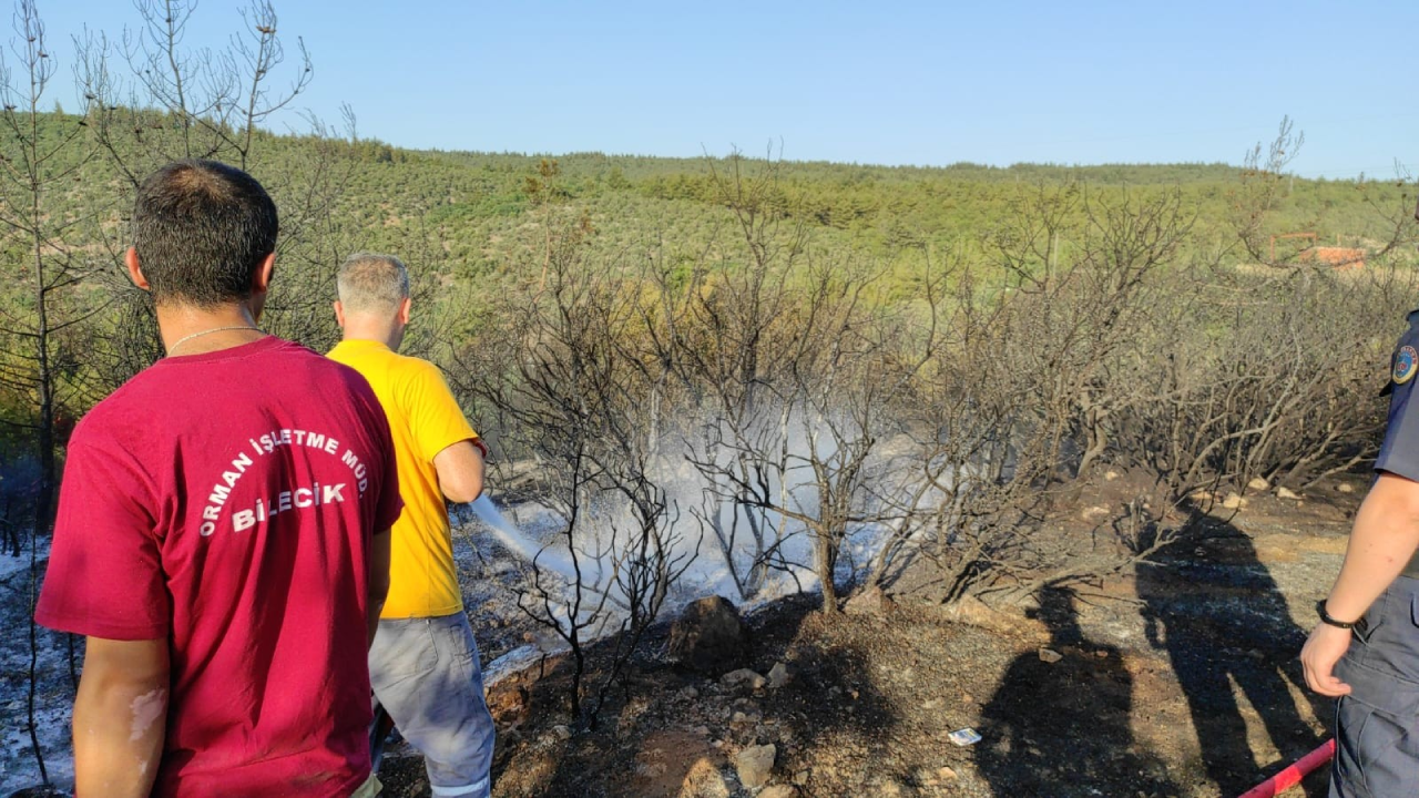 Bilecik'te orman yangını! 1 kişi gözaltına alındı