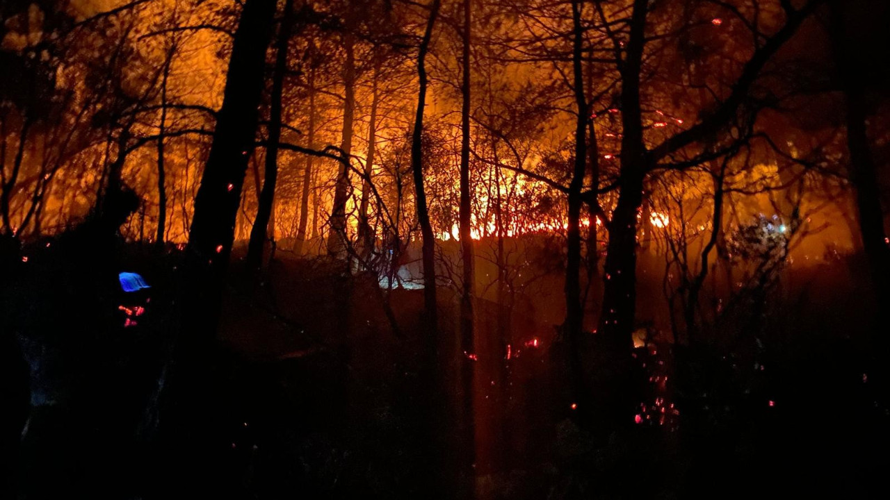 Bakan Pakdemirli duyurdu: Fethiye'deki orman yangını kontrol altına alındı!
