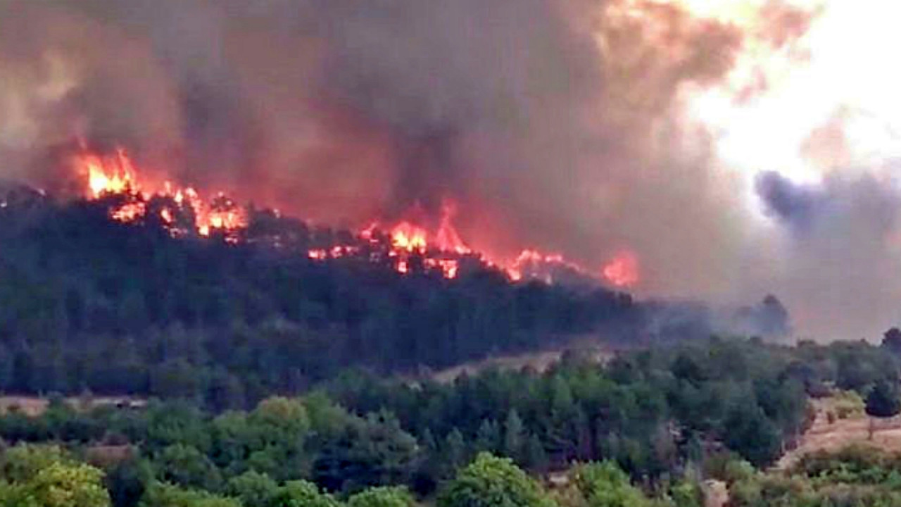 Ankara'da başlayan orman yangını kontrol altına alındı