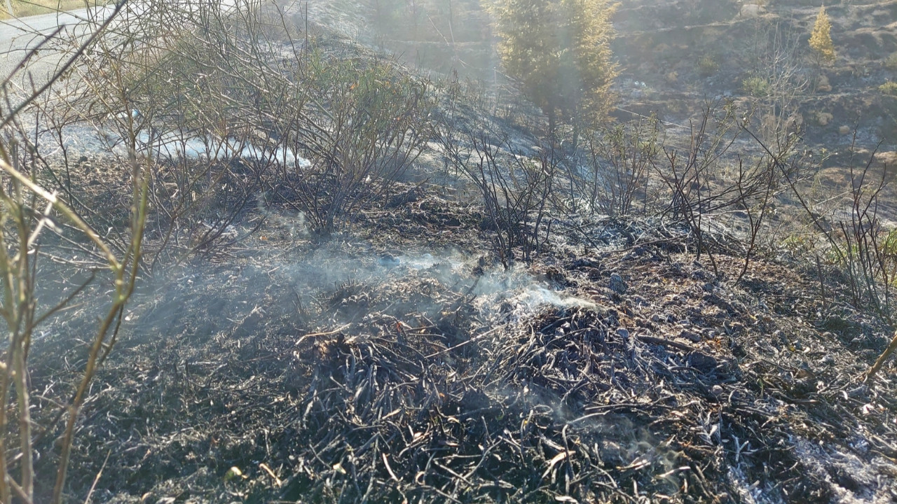 Konya'da çıkan orman yangınında sabotaj bulgularına rastlandı!