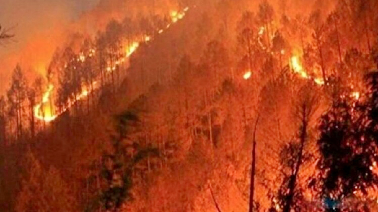 Kerkük Valiliğinden orman yangınları için Türkiye'ye destek kampanyası
