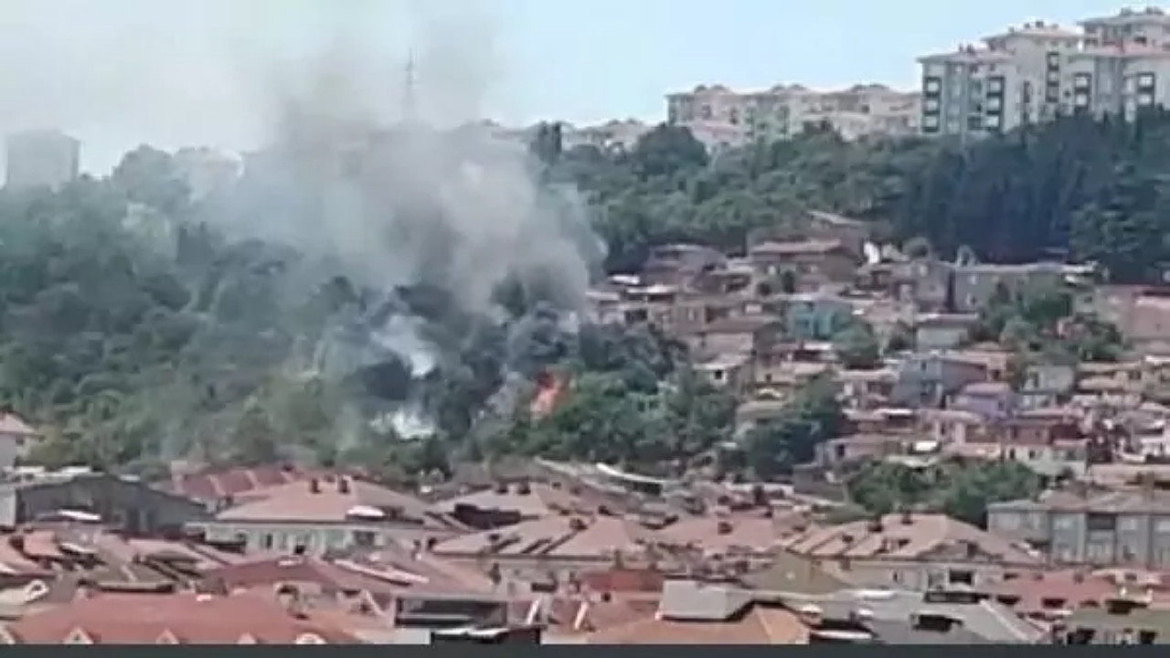 İstanbul'da orman yangını: Yerleşim yerlerine yakın bölgede!