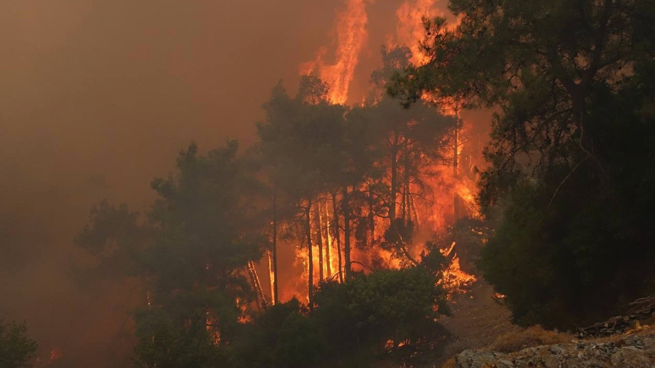 Akdeniz iklim kuşağındaki yangınlar neden kolay söndürülemiyor?