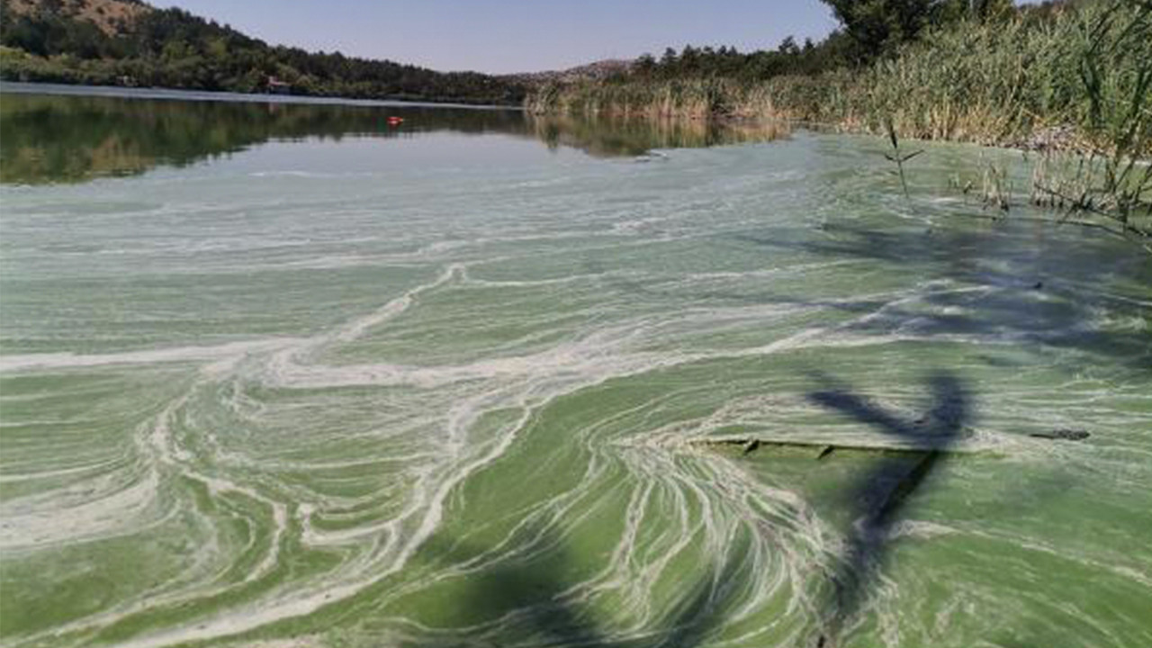 Eymir Gölü'ndeki kirliliğin kaynağı ortaya çıktı