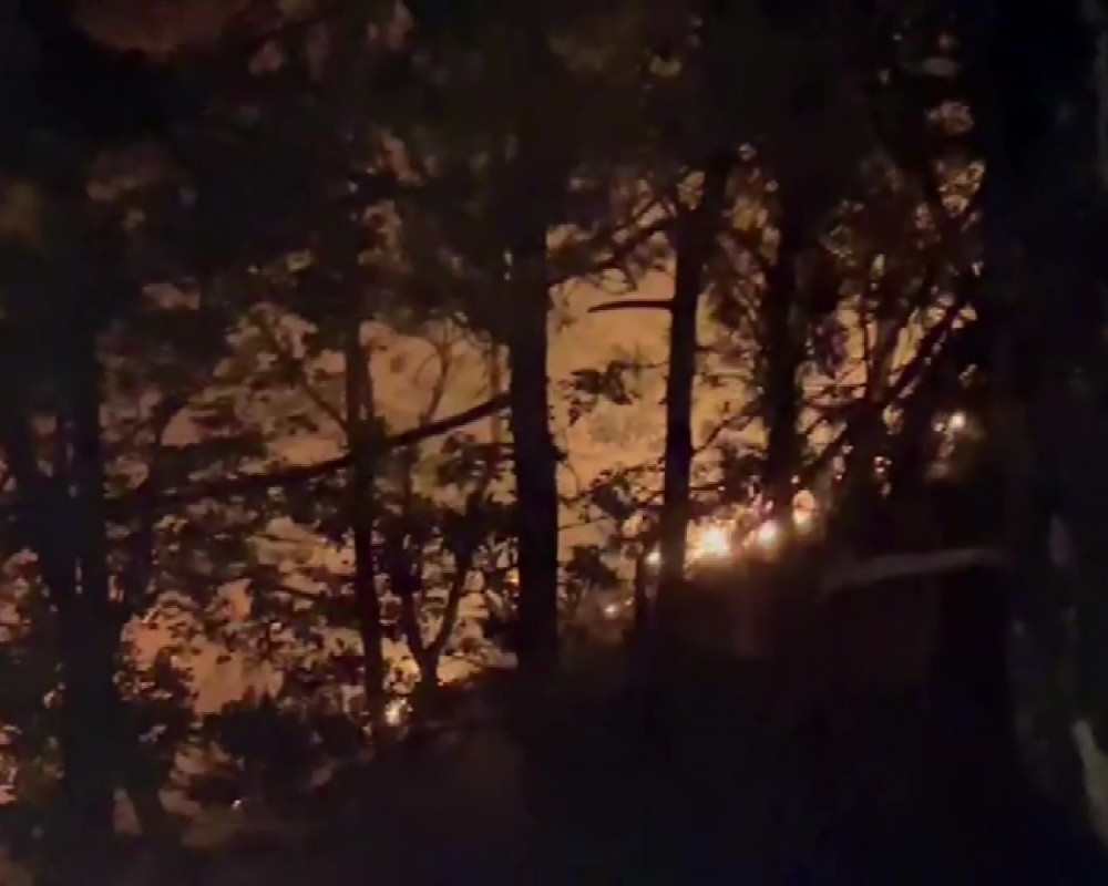 Bursa'da ormanlık alanda korkutan yangını!