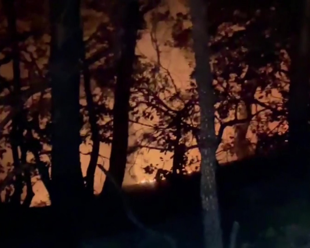 Bursa'da ormanlık alanda korkutan yangını!