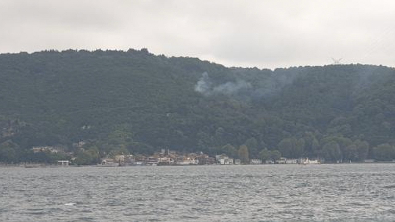 İstanbul'da orman yangını: Helikopterler müdahale etti
