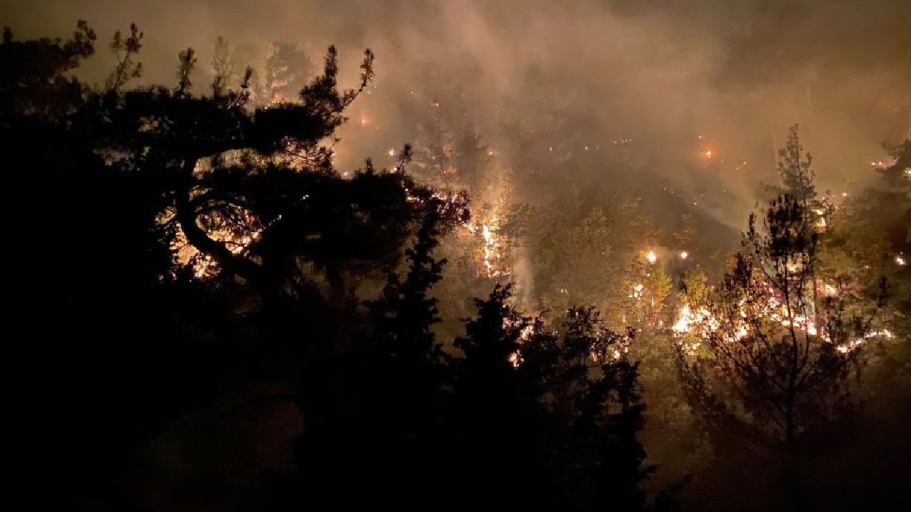 Uşak’ta orman yangını! 2.5 hektar alan kül oldu
