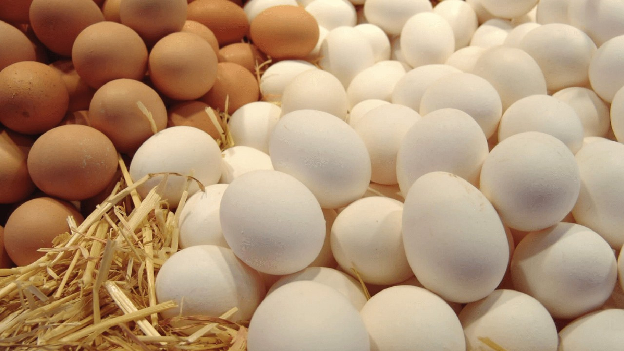 Yumurta fiyatları uçuyor! Nedeni belli oldu