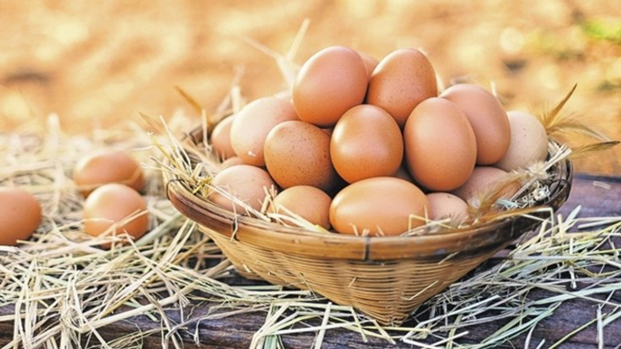 Yumurtada Rekor Artış! Fiyatlar Durdurulamıyor! Yumurta Fiyatları Neden Arttı! İşte Artışın Nedeni