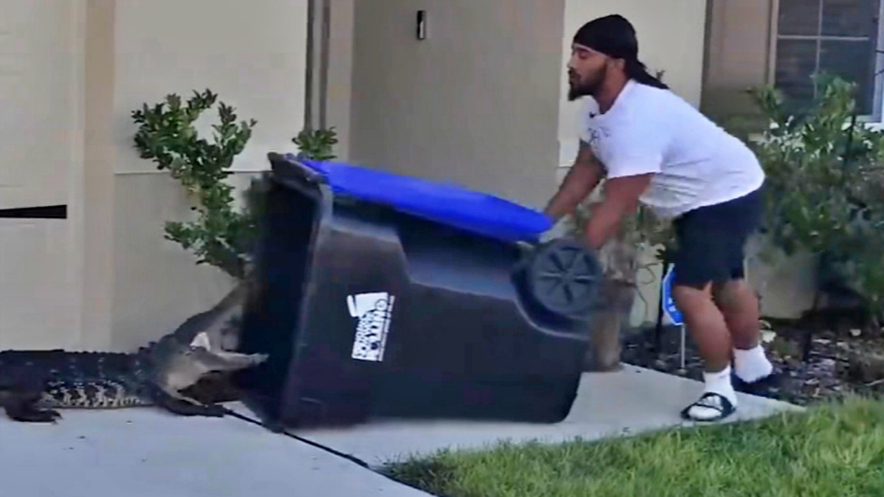 26 yaşındaki gazi, bahçeye giren timsahı çöp kutusuyla yakaladı!