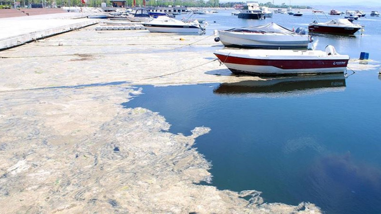 Marmara Denizi'nin müsilajdan kurtarılması için yeni öneri: Maliyeti yaklaşık 80 milyon euro