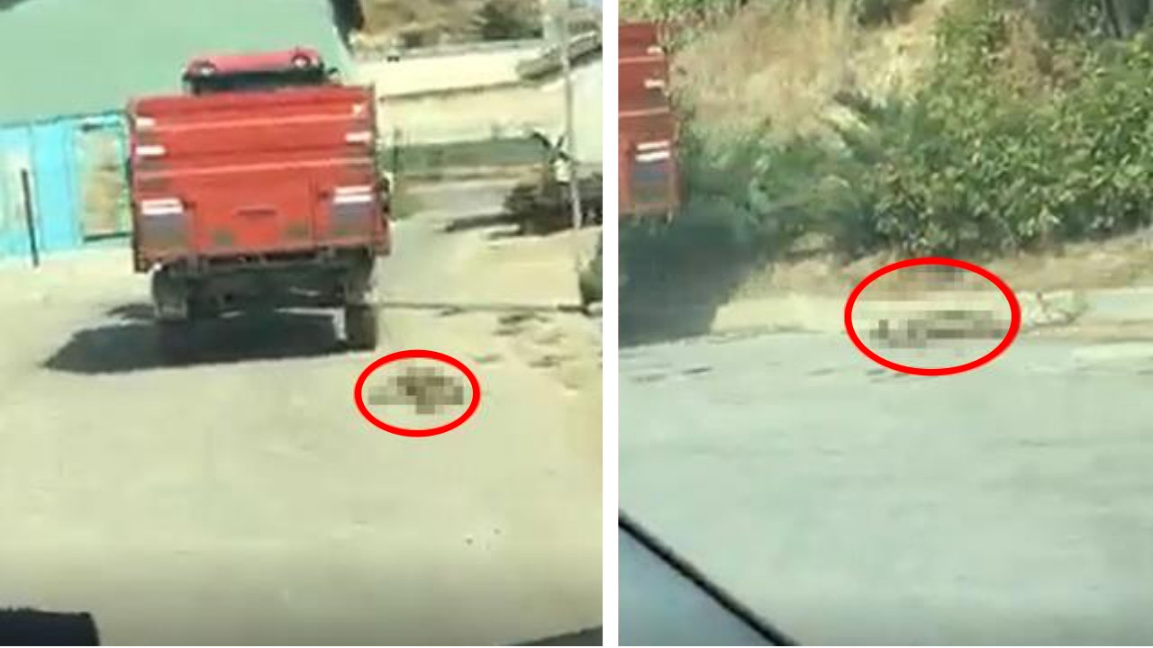 Böyle vicdansızlık olmaz: Traktörün arkasına bağladığı köpeği ölene kadar sürükledi!